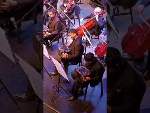 Orquesta de tango de Buenos Aires (mundial de tango 2026) #tango #tangoargentino