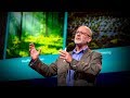 Can seaweed help curb global warming? | Tim Flannery