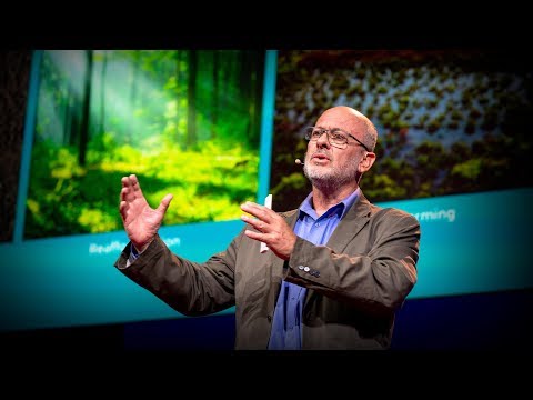 【TED】Tim Flannery:海藻能幫助遏制全球變暖嗎？(Can seaweed help curb global warming? | Tim Flannery) (【TED】Tim Flannery: Can seaweed help curb global warming? (Can seaweed help curb global warming? | Tim Flannery))
