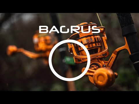 Mulineta Vagner Bagrus 8000