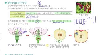 [초등과학 6-1 무료강의] 4. 식물의 구조와 기능 ⑦ 열매의 생김새와 하는 일을 알아볼까요?