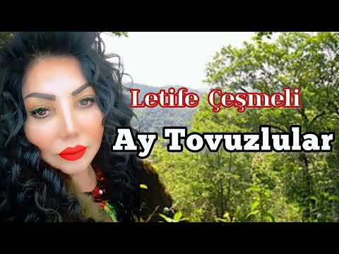 Ay Tovuzlular (Eller eller darixdim yaman) EK