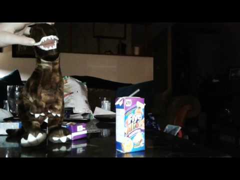 Welcome to Jui-rassic park!