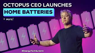 Octopus home battery launch