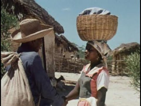 GOUVERNEURS DE LA ROSÉE (Film Haitien)