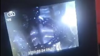 Розшифровка помилки p112f BMW