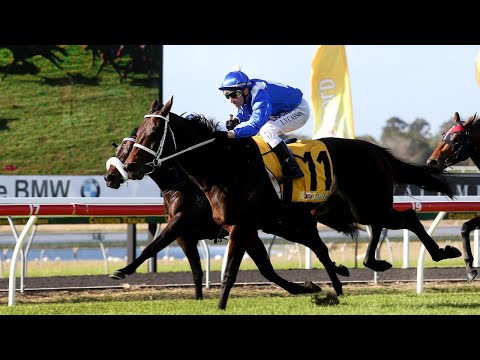 2015 Sunshine Coast Guineas - Winx (The race that started the 33 win streak)