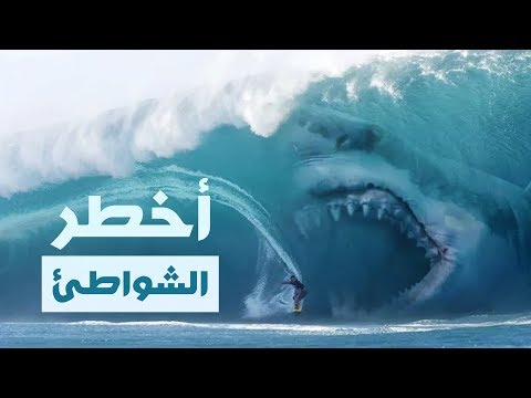 أخطر ١٠ شواطئ في العالم