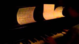 Untitled- horse feathers