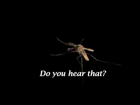 Only One Mosquito youtube-video