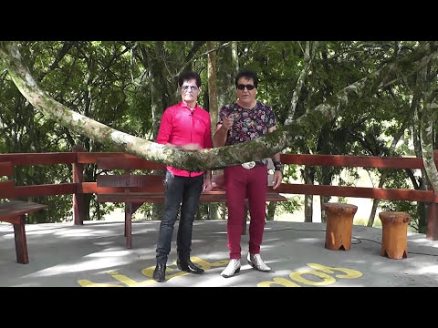 Bob e Robson - Não Consigo Te Esquecer