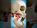 How To Fix A Dislocated Jaw