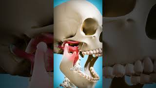 Download lagu How To Fix A Dislocated Jaw 😨 mp3 Download lagu How To Fix A Dislocated Jaw 😨 mp3