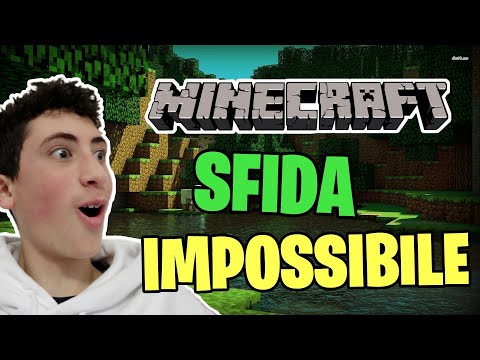 MINECRAFT, MA SE PRENDO DANNO IL VIDEO FINISCE!!!
