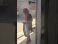 Thane Hela PE Helo Deu Mari Ma Desi Dhamaka