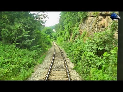 Train Backview in Muntii Apuseni Mountains Vadu Crisului - Suncuius - Bratca - 28 July 2016
