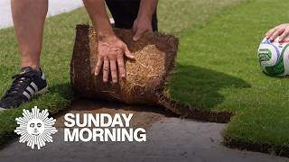 Pitch perfect: Developing natural grass for the World Cup