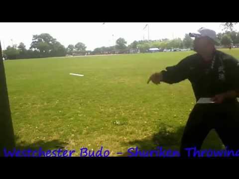 Bujinkan Westchester Budo - Shuriken Throwing