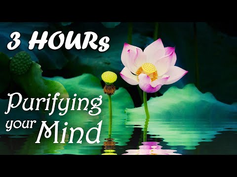 THIS MUSIC WILL PURIFY YOUR MIND ⭐ Yoji Water Purification ⭐ Buddhist Meditation Music, Buddha Music