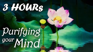 Download lagu THIS MUSIC WILL PURIFY YOUR MIND ⭐ Yoji Water Purification ⭐ Buddhist Meditation Music, Buddha Music mp3 Download lagu THIS MUSIC WILL PURIFY YOUR MIND ⭐ Yoji Water Purification ⭐ Buddhist Meditation Music, Buddha Music mp3