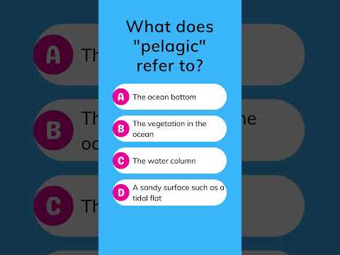 What does \pelagic\ refer to?