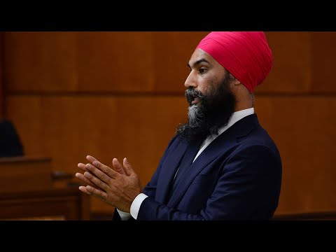 NDP Leader Jagmeet Singh defends calling Bloc MP a racist