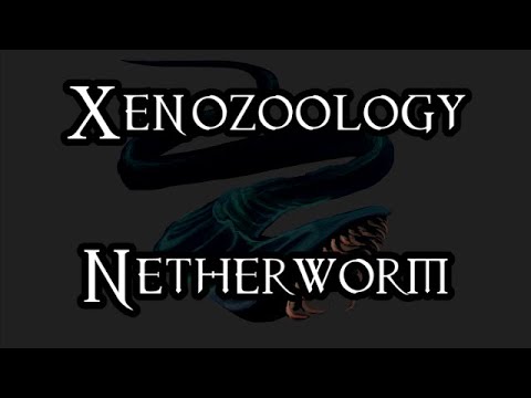 Xenozoology: Netherworm - 40K Theories