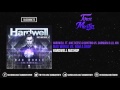 Mad World Vs Bomb A Drop Hardwell Mashup UMF 2016