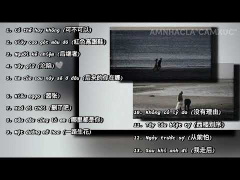 [Playlist] Những Bản Nhạc Trung Hay | Hot Tiktok, Douyin | Âm Nhạc Là Cảm Xúc