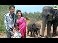 जंगल के Baahubali हाथी ने Jackie Shroff के साथ मिलकर द