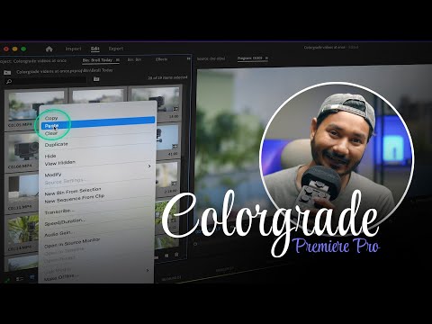 Color Grade all clips at once in Premiere Pro! Copy-Paste