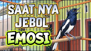 Download lagu Suara Kacer Buat JeboL EMOSI Kacer Bahan Jadi Konslet.!  mp3