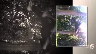 Mini fail/victory reel