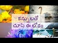 Kannulatho Chuse Eelokam Song With Lyrics Latest Christian Song