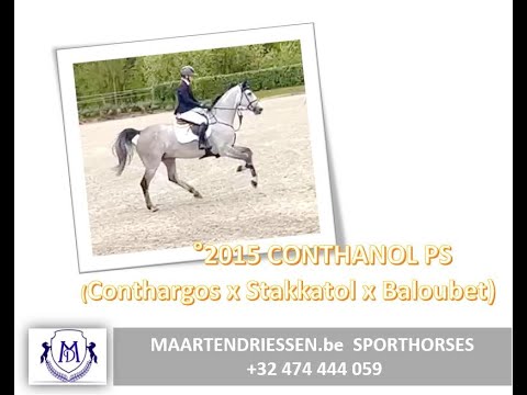 210508  CONTHANOL PS  clear 120 class (6yo Conthargos x Stakkatol x Baloubet )