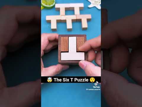 The Six T Puzzle #foryou #viralshort #facts #foryou
