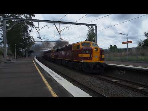 4464 4473 4702 8L03 COCKLE CREEK 23-10-2022