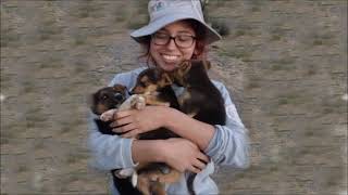 Perdido en la Oscuridad - José José