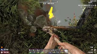 7days『No』Die 6週目3日目
