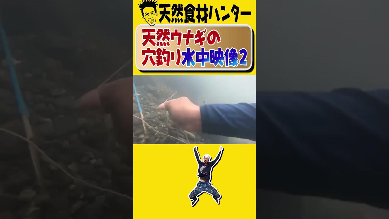 【ウナギの穴釣り水中映像２】谷田圭太は様々な天然食材を捕獲・採集し数々の飲食店へと卸す「天然食材ハンター」です