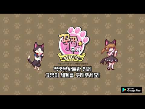 CAT KNIGHT SAGA SPECIAL