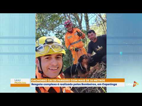 Veja o resgate emocionante de cachorro em paredão de mais de 35 metros