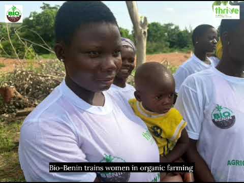 Healthy Food Creates Healthy Families