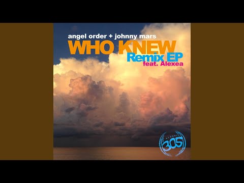 Who Knew (feat. Alexea) (LUCCA SAVI Remix)