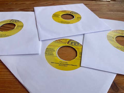 Fig Leaf Riddim Mix 1997 (Red Rat, Elephant Man, Buccaneer, Harry Toddler, Ghost, Alley Cat & more)