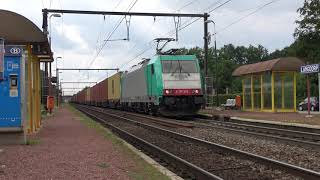 4K | LNS 186 228 komt met een containertrein door station Langdorp