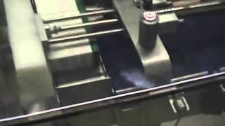 Fifth Panel Carton Collator