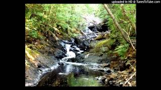 15.The Future Sound Of London - Plough