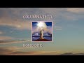 Columbia Pictures Home Entertainment Logo January 12 2012