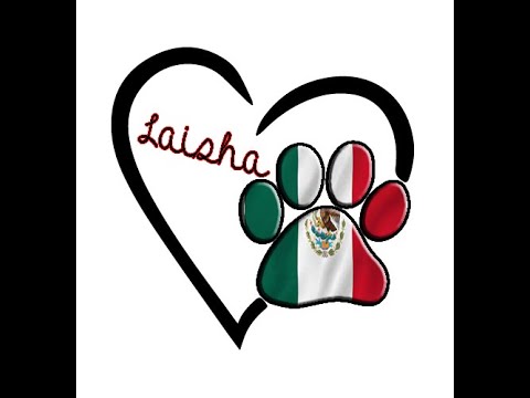 MY NAME IS LAISHA FROM MEXICO